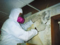 mold-certification