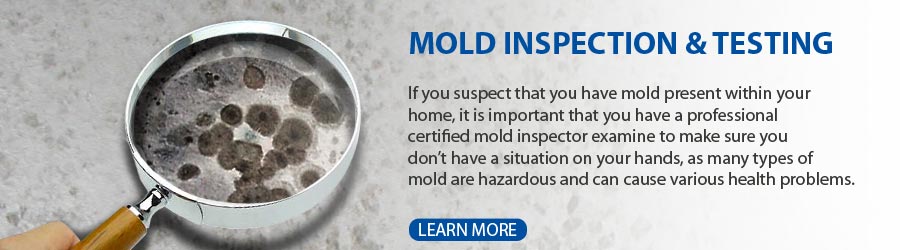 mold2