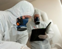 asbestos-hazards-awareness-refresher-testing-inspector
