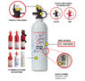 Kidde-push-button-Pindicator-fire-extinguishers